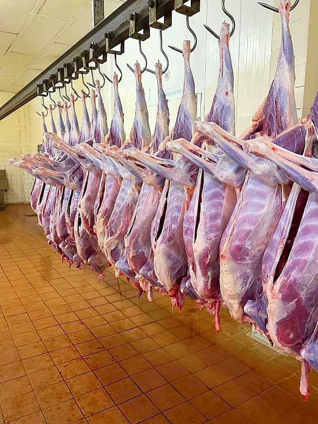 Meat Products