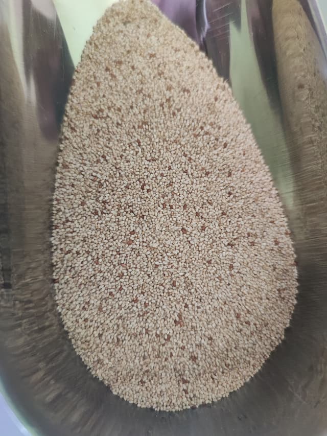 TEFF (Shega Red & White)