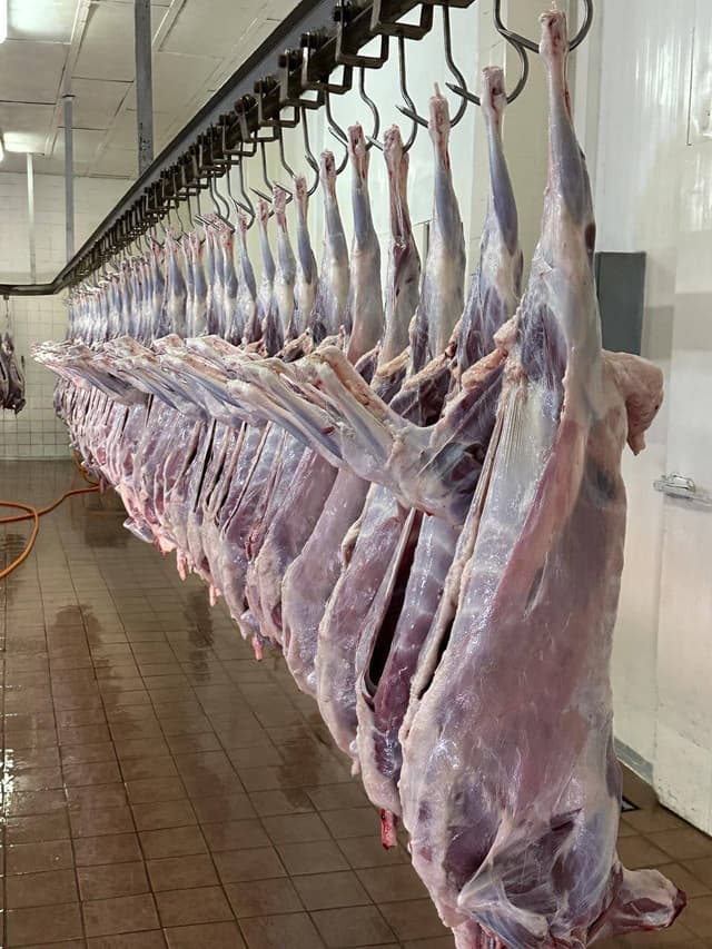 Premium Beef Cuts