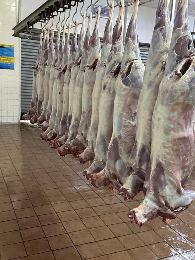 Ahad Meat Selection